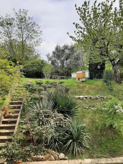 Le 16 Villa Toulouse Exterior photo